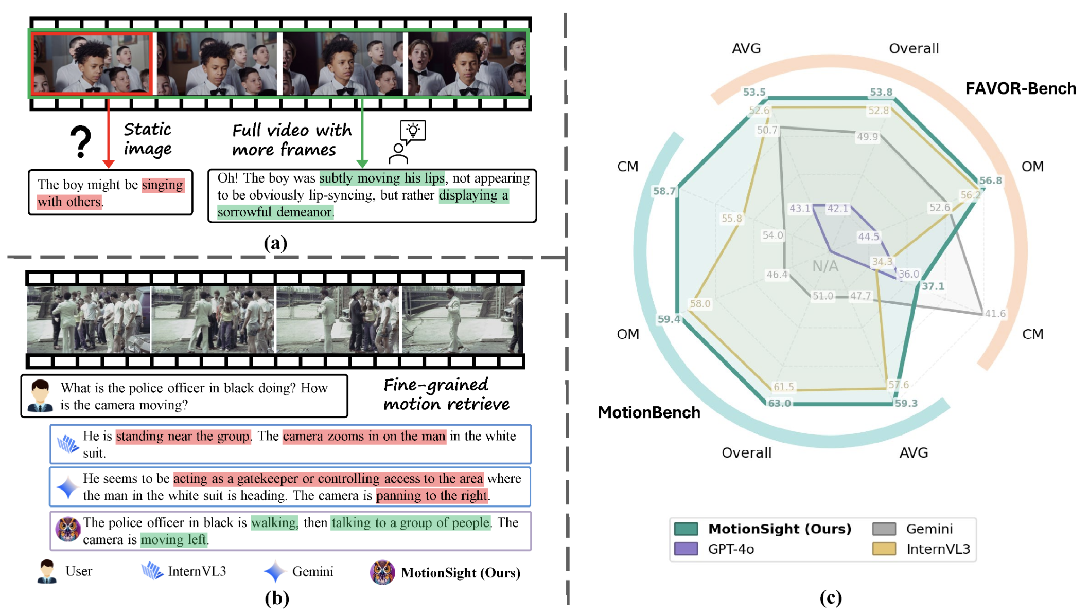 motionsight